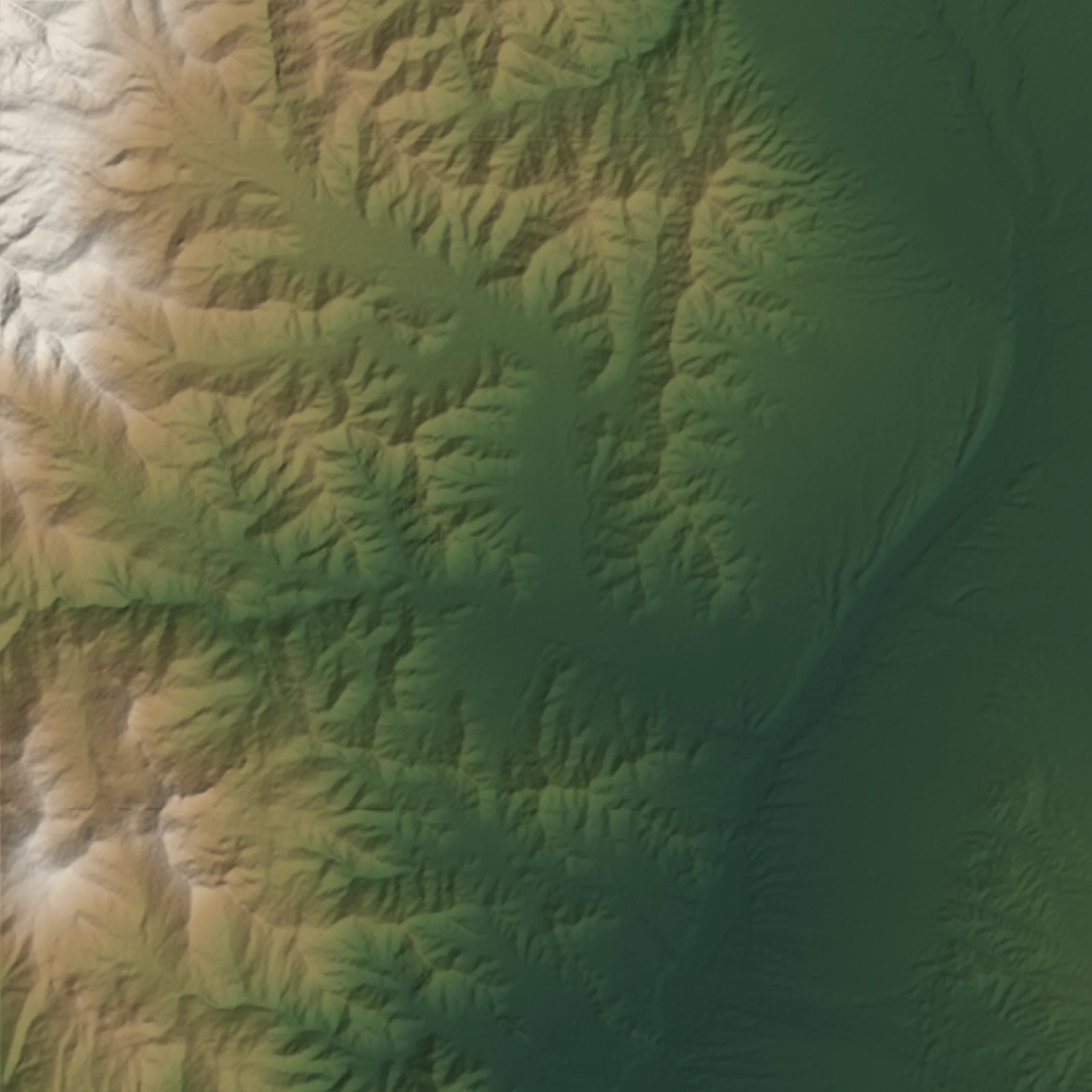 Shaded-relief view of the land around Municipio de Cachi, Cachi, Salta, the parcel boundary drawn in gold