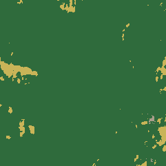 Land cover · ESA WorldCover 2021 — Bahía Ballena, Osa, Puntarenas Province