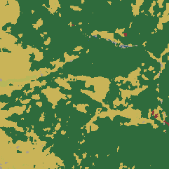 Land cover · ESA WorldCover 2021 — Ronco Canavese, Turin, Piedmont