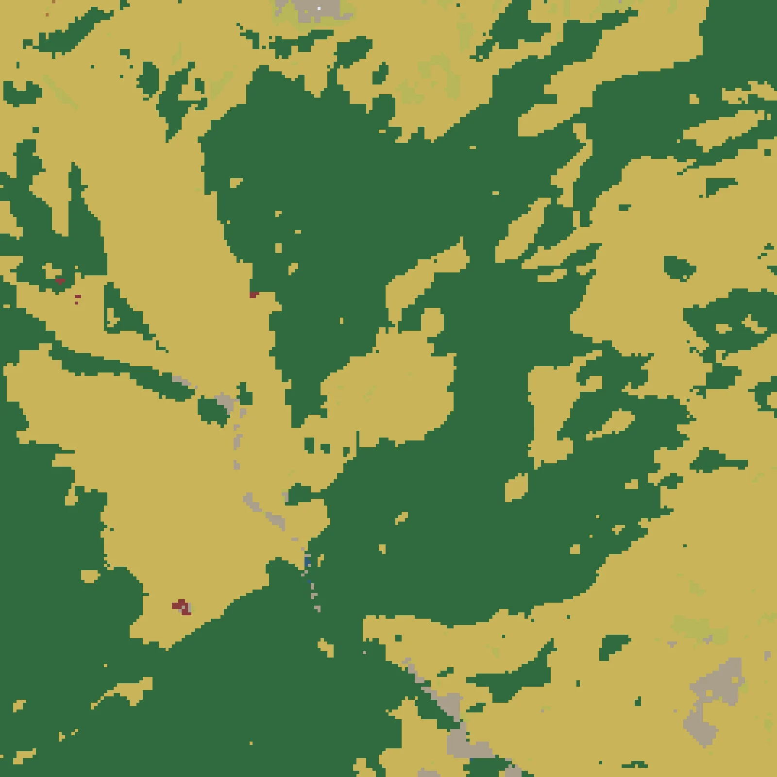 Land cover · ESA WorldCover 2021 — Varzo, Verbano-Cusio-Ossola, Piedmont