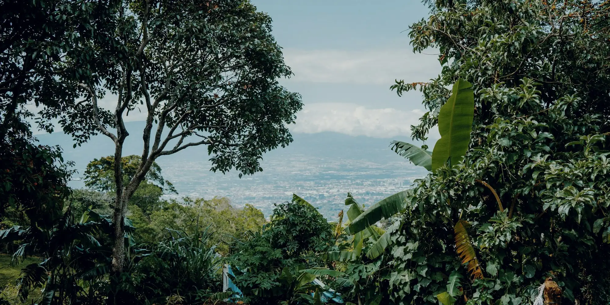 La vista desde un lote sin construir en una ladera de Costa Rica: árboles, un valle y una ciudad abajo.